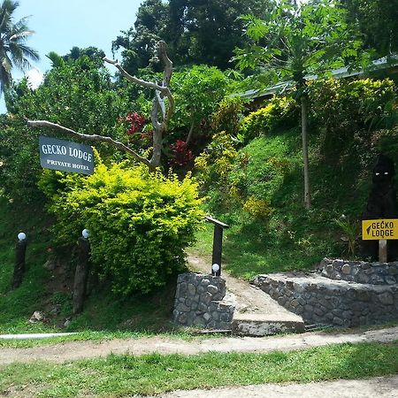 Gecko Lodge Fiji Savusavu Esterno foto