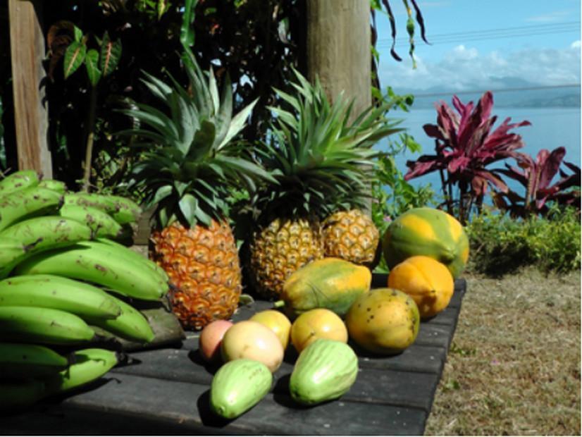 Gecko Lodge Fiji Savusavu Esterno foto