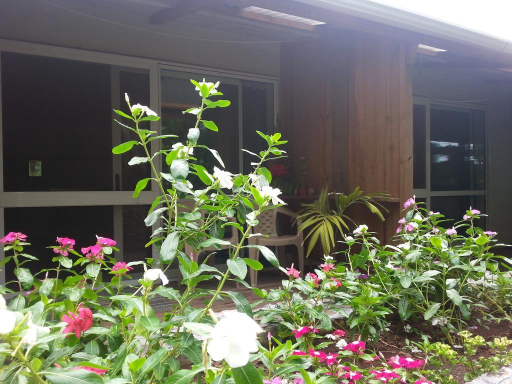 Gecko Lodge Fiji Savusavu Esterno foto